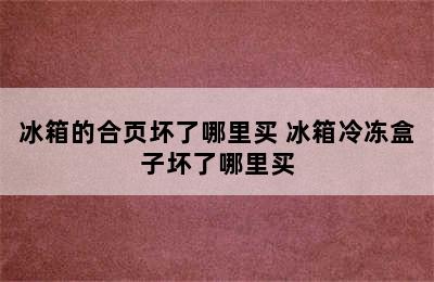 冰箱的合页坏了哪里买 冰箱冷冻盒子坏了哪里买